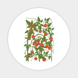 Tomato Plants Magnet